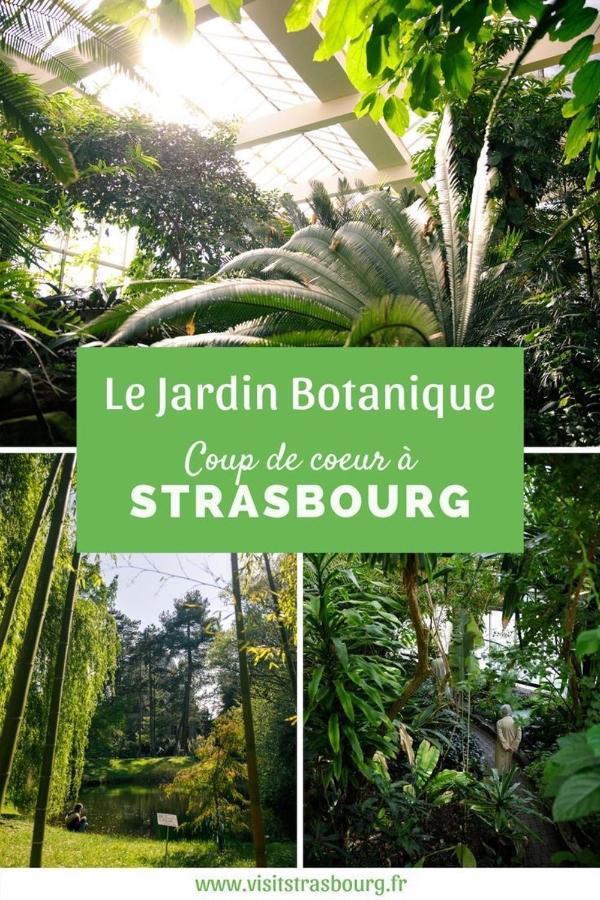 Appartement 6 Personnes Strasbourg Proche Centre Ville & Parking Eksteriør billede